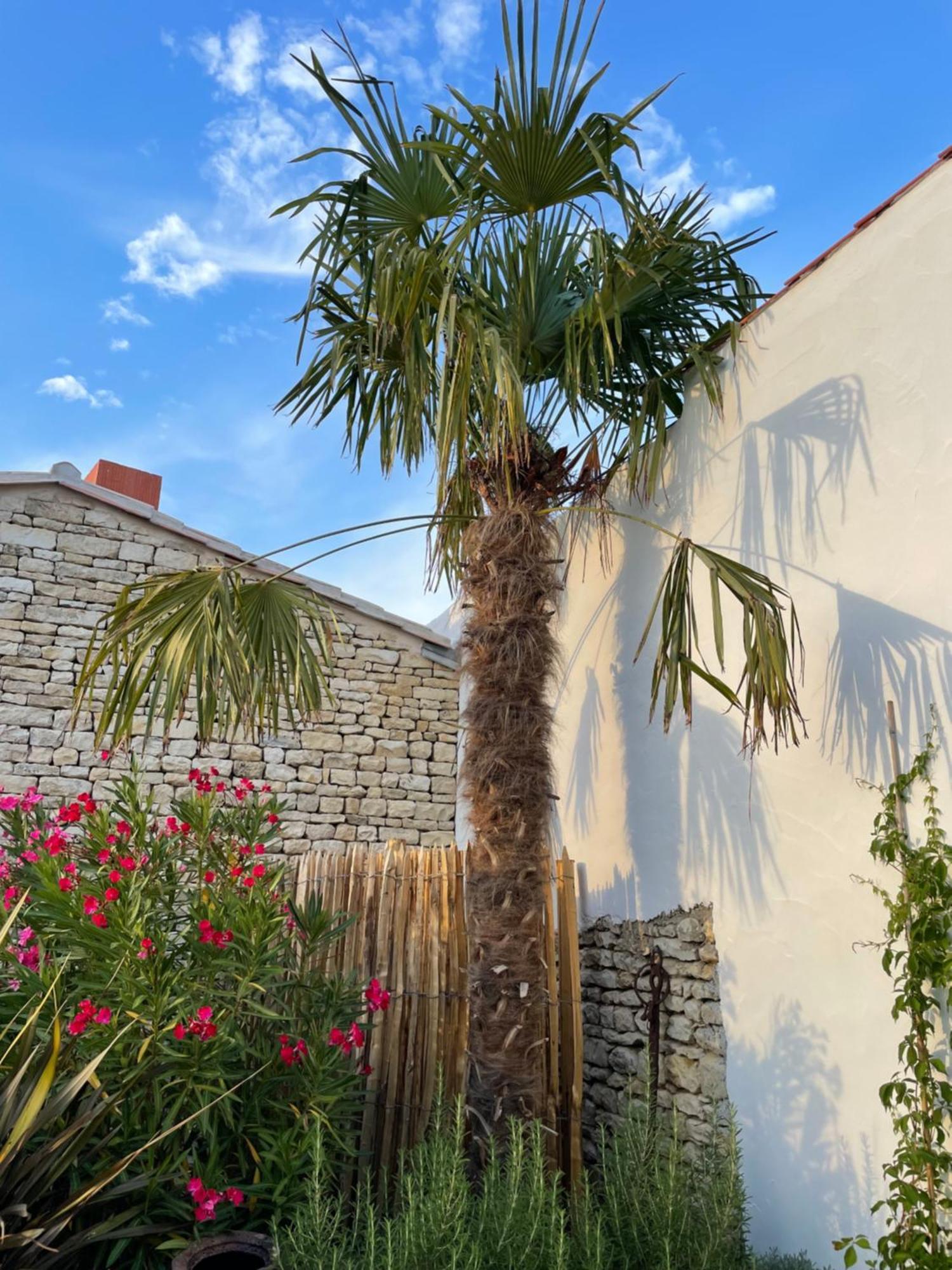 Maisons 322 - Maison La Flamboyante Le Bois-Plage-en-Ré Esterno foto